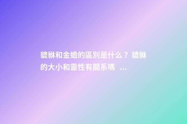 貔貅和金蟾的區別是什么？貔貅的大小和靈性有關系嗎？